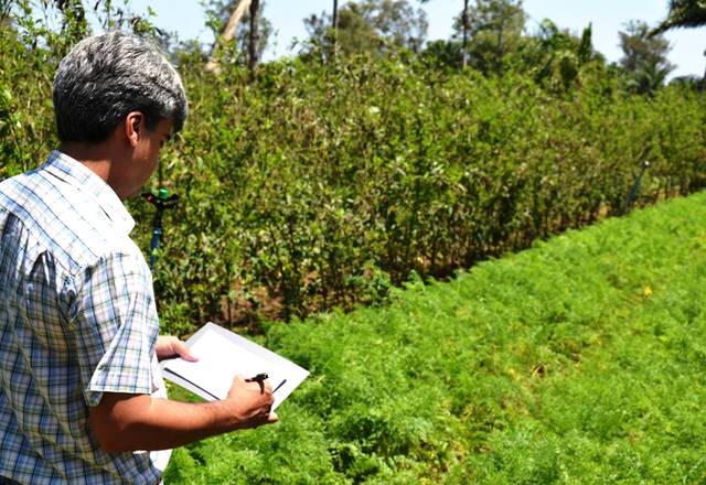 A importância de um Engenheiro Agrônomo