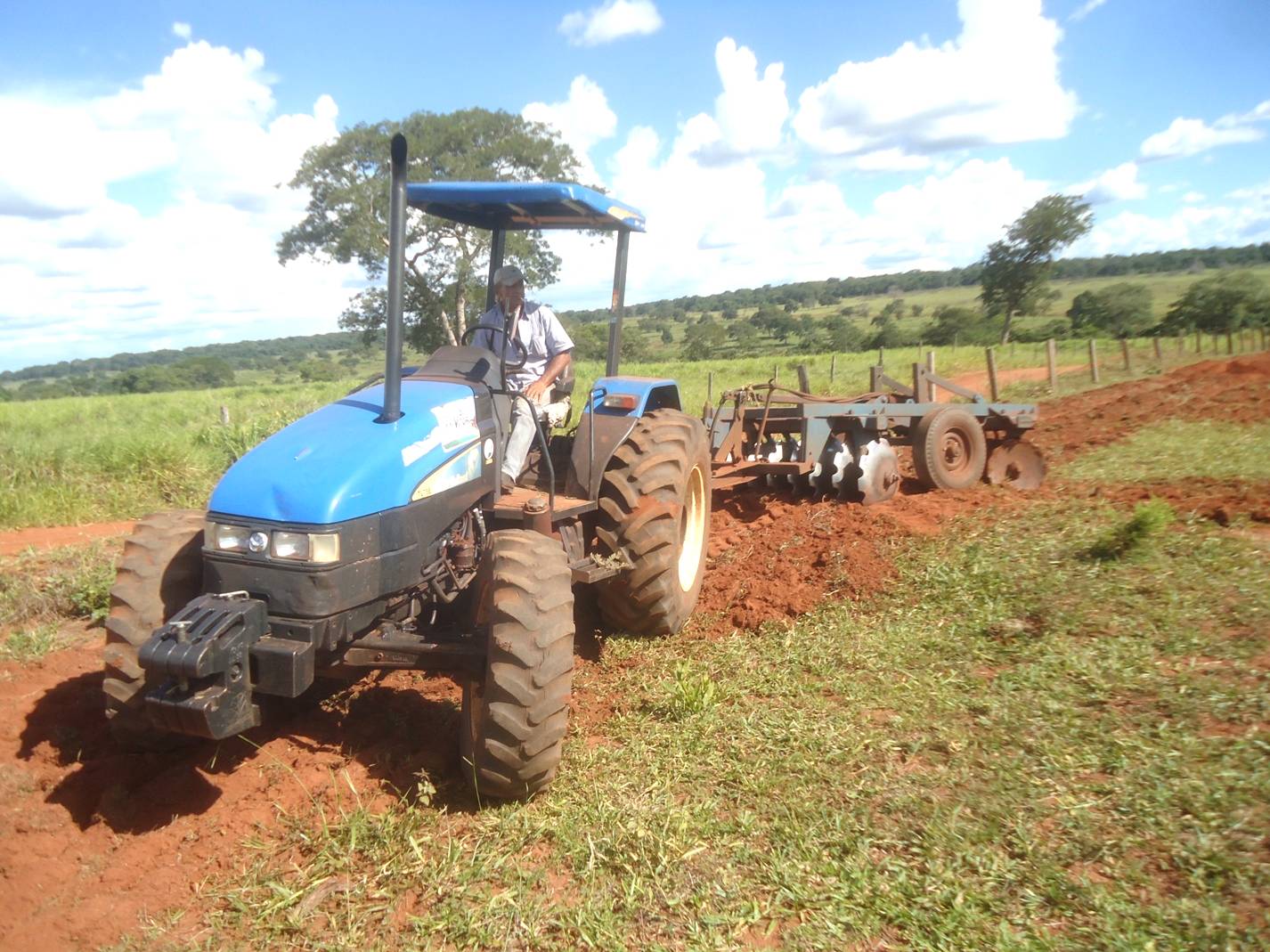 Criatividade pode ser aliada do pequeno produtor rural