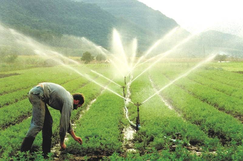 Conheça os principais tipos de irrigação