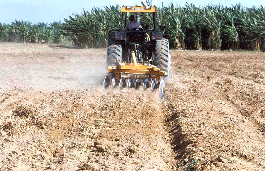 Uso correto do solo favorece o desenvolvimento sustentável