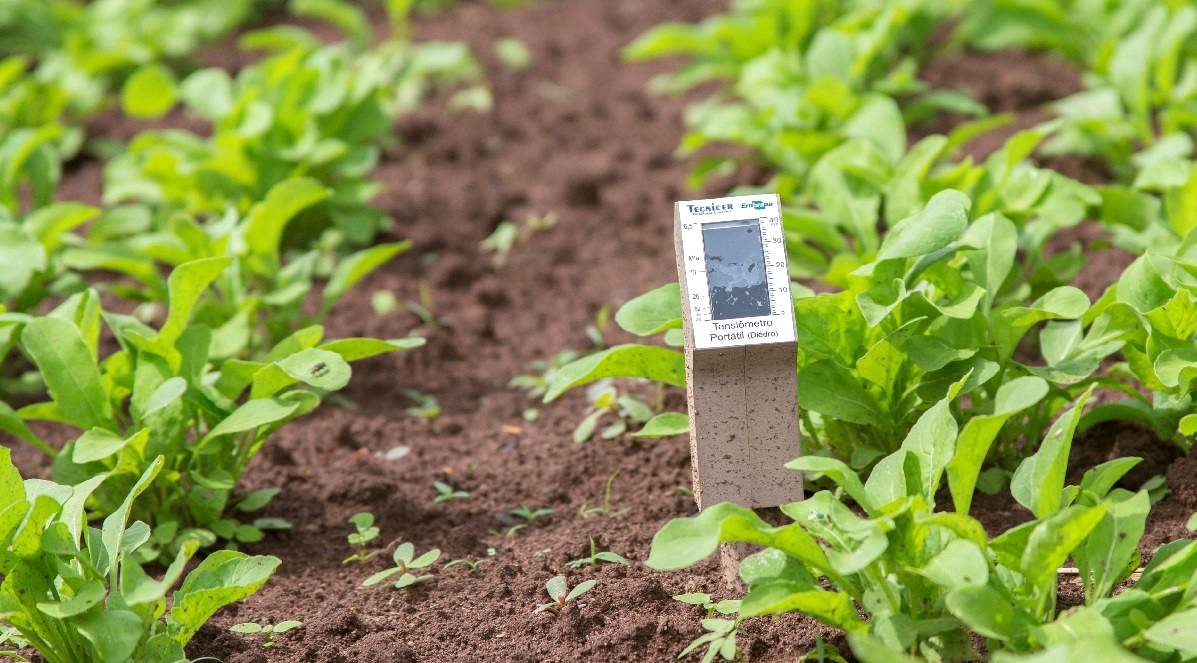 Sensor para irrigação