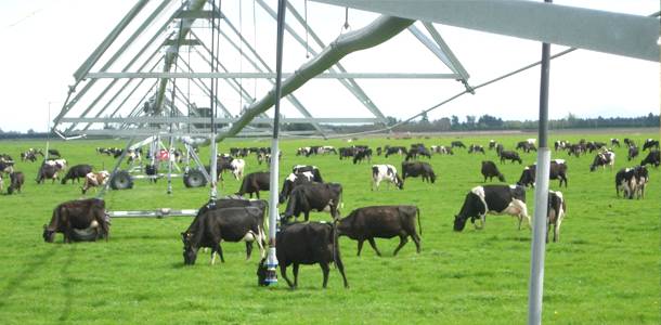 Irrigação de pastagem necessita de planejamento profissional