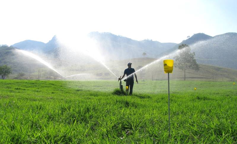 Aprenda a implantar um eficiente sistema de irrigação de pastos