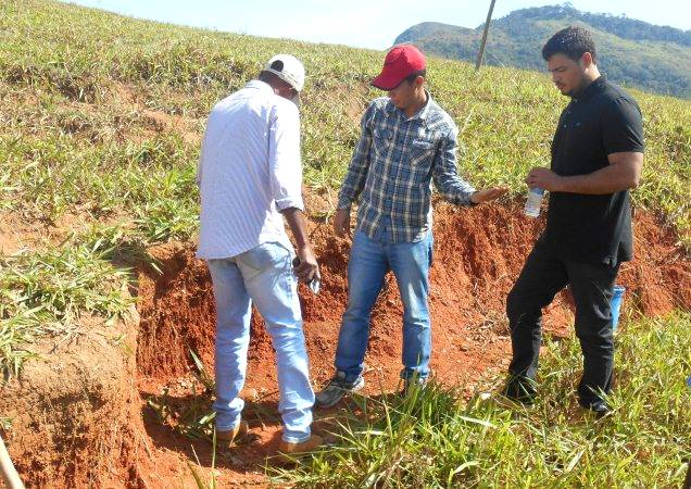 Conhecimento especializado pode fazer a diferença no processo de fertilização do solo