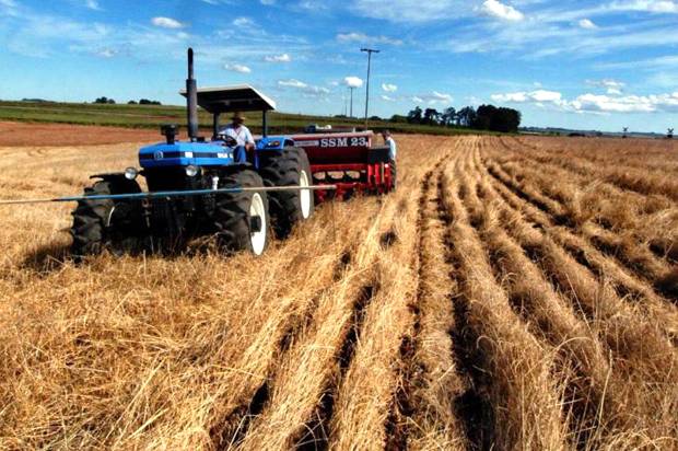 Plantio direto como opção sustentável de inúmeros projetos agrícolas