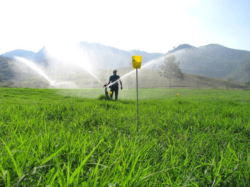 Descubra como projetos de irrigação podem impactar no seu negócio