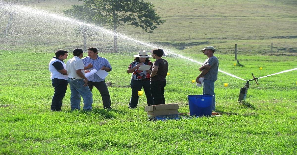 Irrigação localizada: Aproveite melhor a água