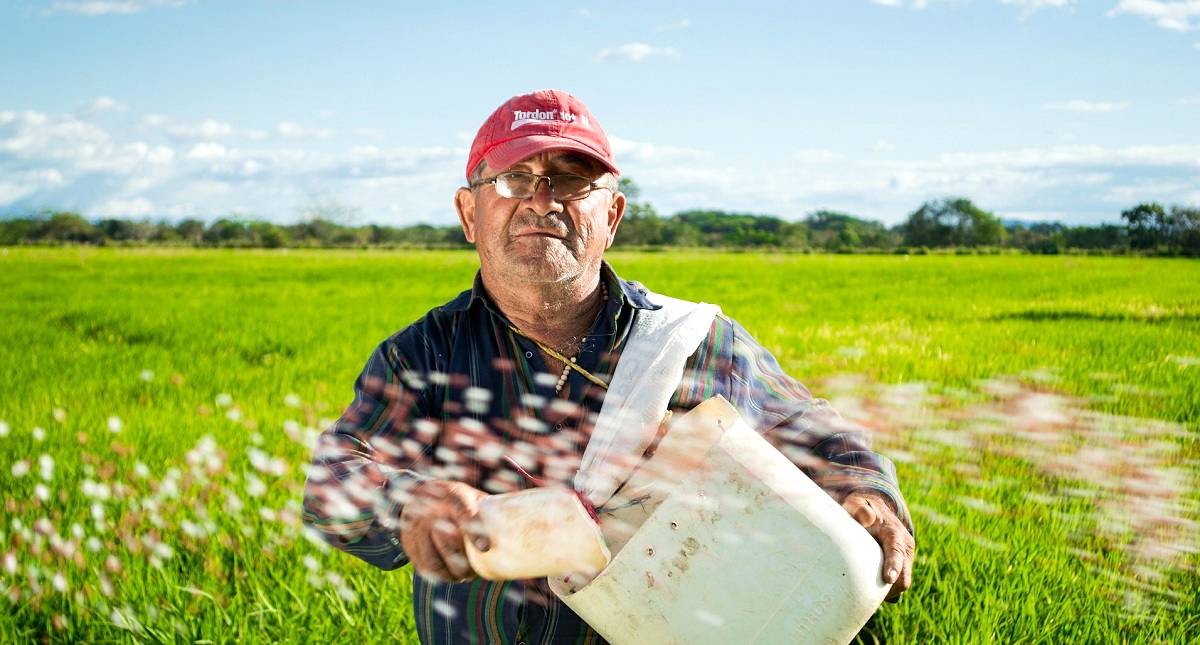 20 de março - Dia mundial da agricultura: Sua importância vai muito além do fornecimento de alimentos!