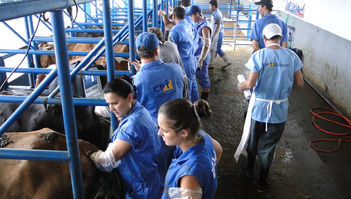 Novo conceito de pós-graduação em reprodução e produção de bovinos jamais vista no país!