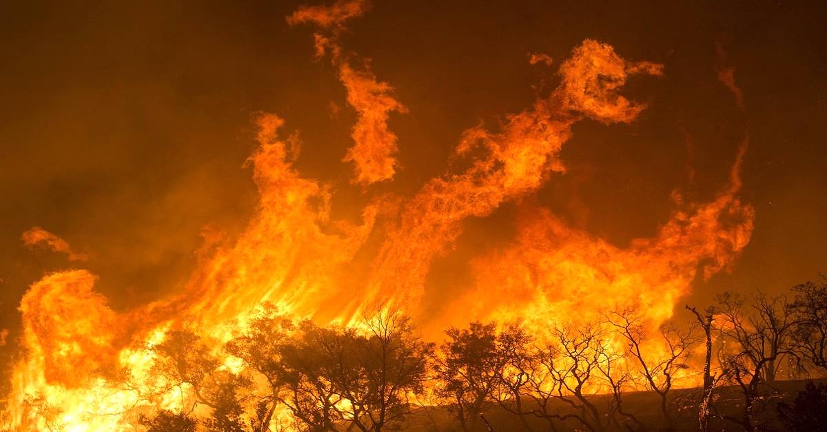 Queimada no solo: Conheça quais são os prejuízos causados