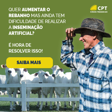 Curso de Inseminação Artificial e Estratégias de IATF em bovinos