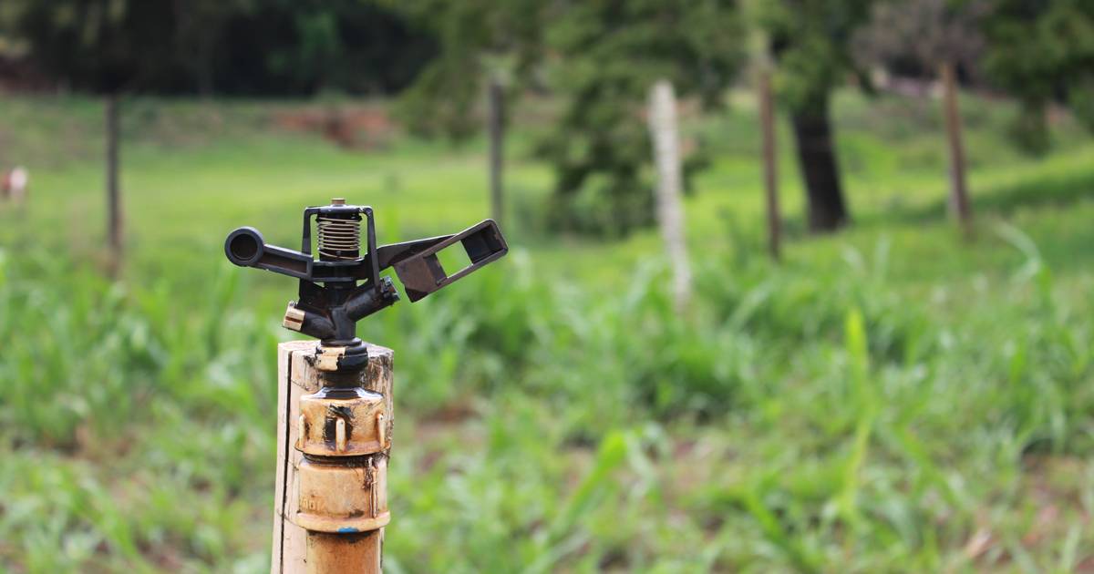 Irrigação: por onde começar?