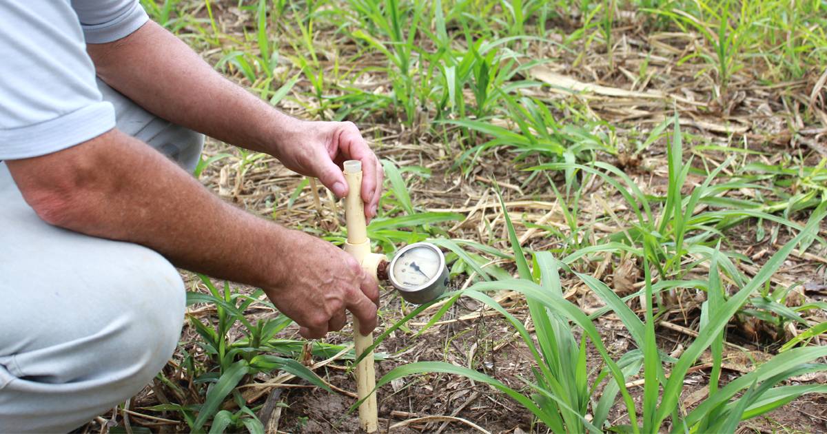 Manejo de Irrigação: a importância das tecnologias no período de chuvas