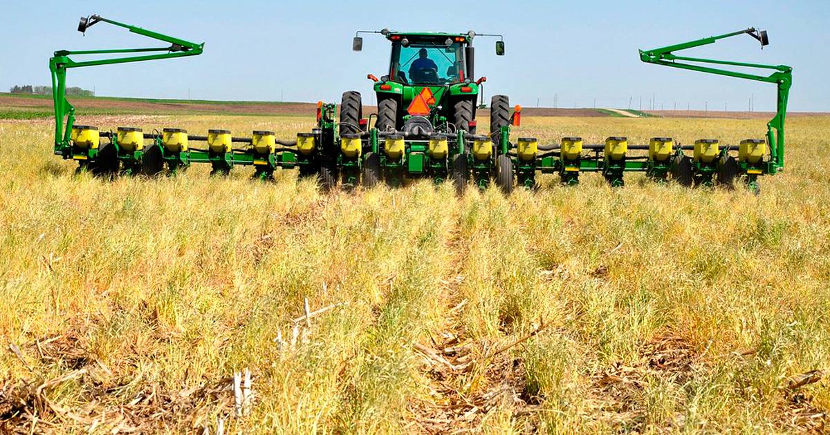 Plantio direto: opção sustentável para projetos agrícolas