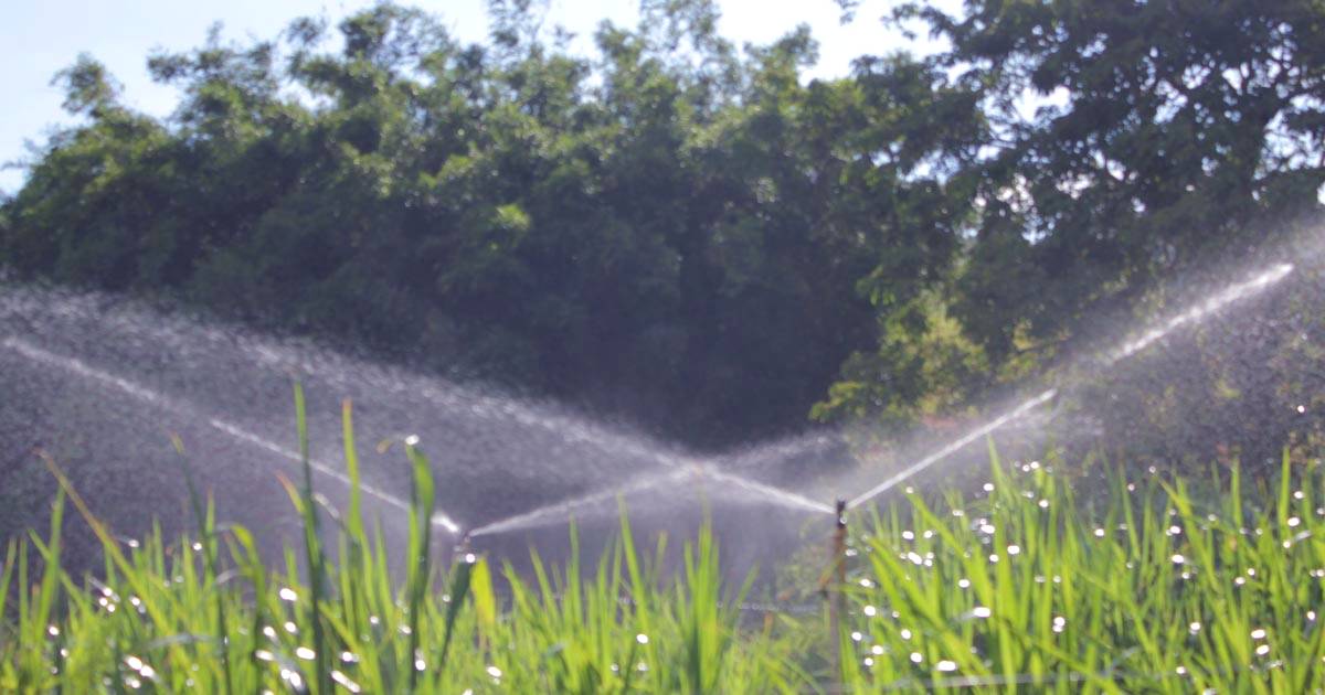 Como planejar um sistema de irrigação para sua cultura