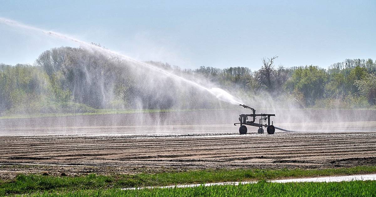 Como reduzir custos na irrigação? Veja 4 dicas práticas!