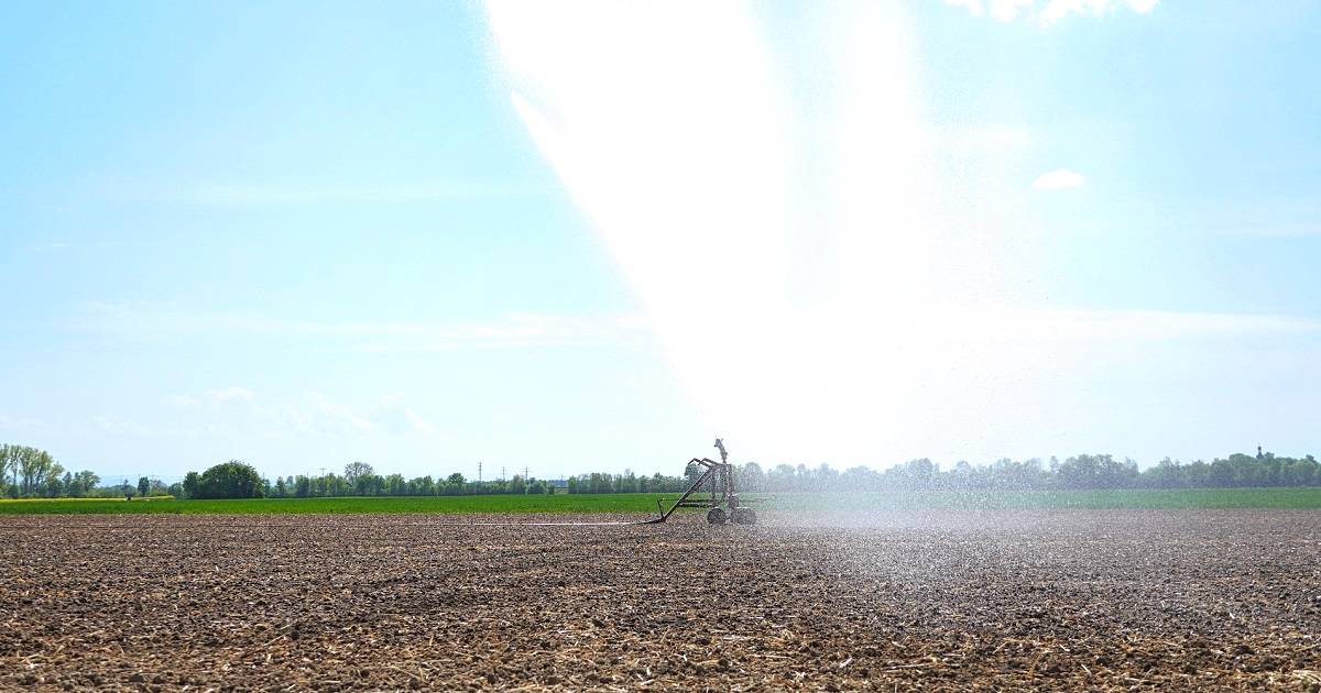 Como funciona o sistema de irrigação autopropelido?