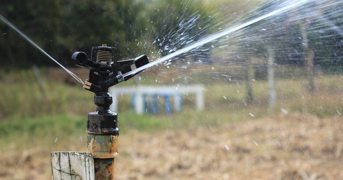 Como funciona o sistema de irrigação por aspersão em malha