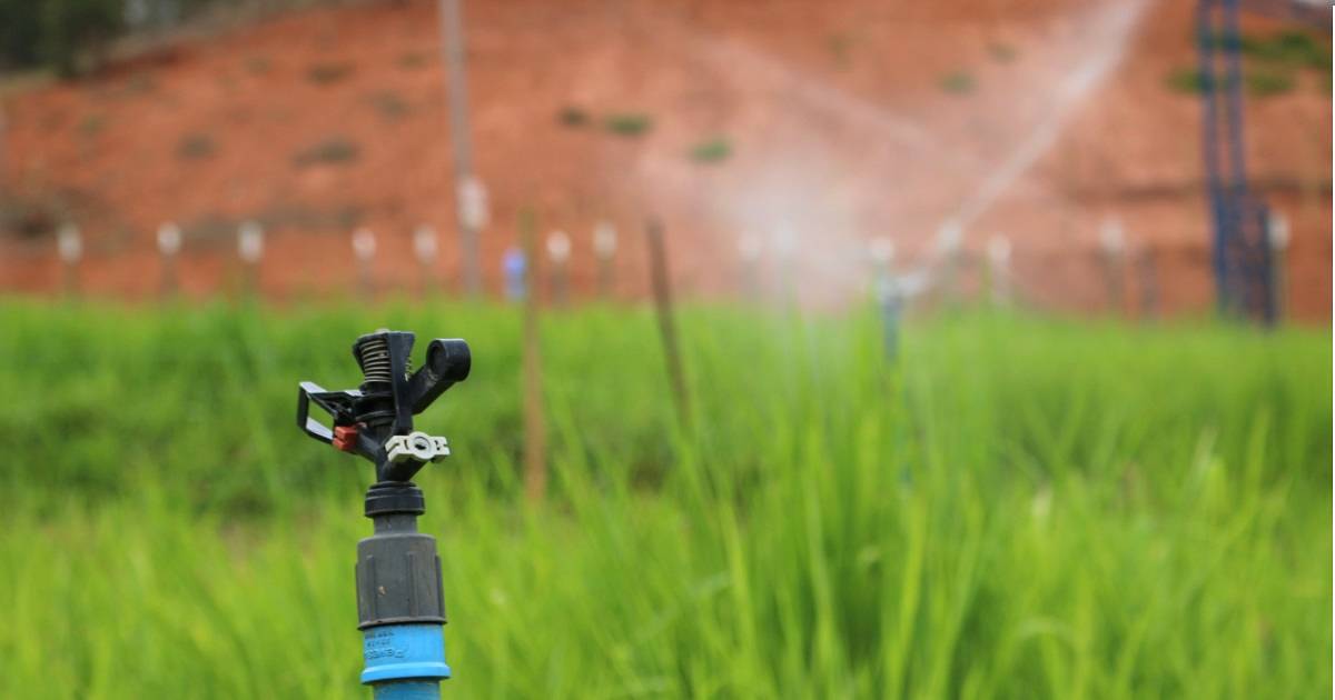 Qual a importância de ter um projeto de irrigação bem planejado